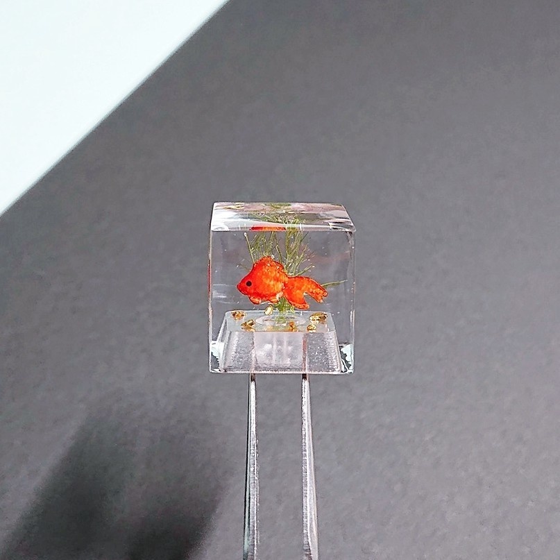 金魚水槽キーキャップ