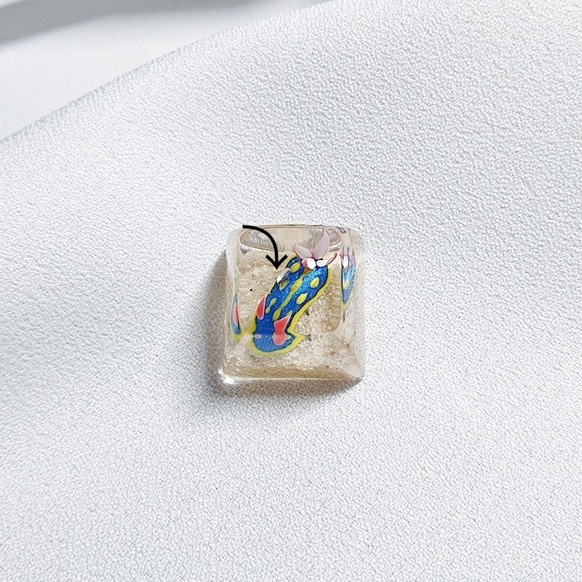 アオウミウシキーキャップSA