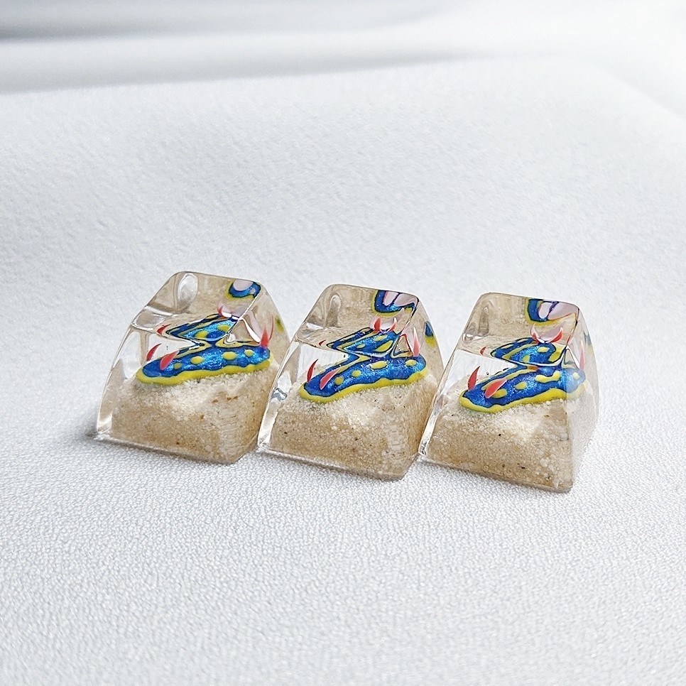 アオウミウシキーキャップSA