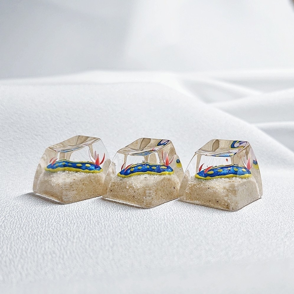 アオウミウシキーキャップSA