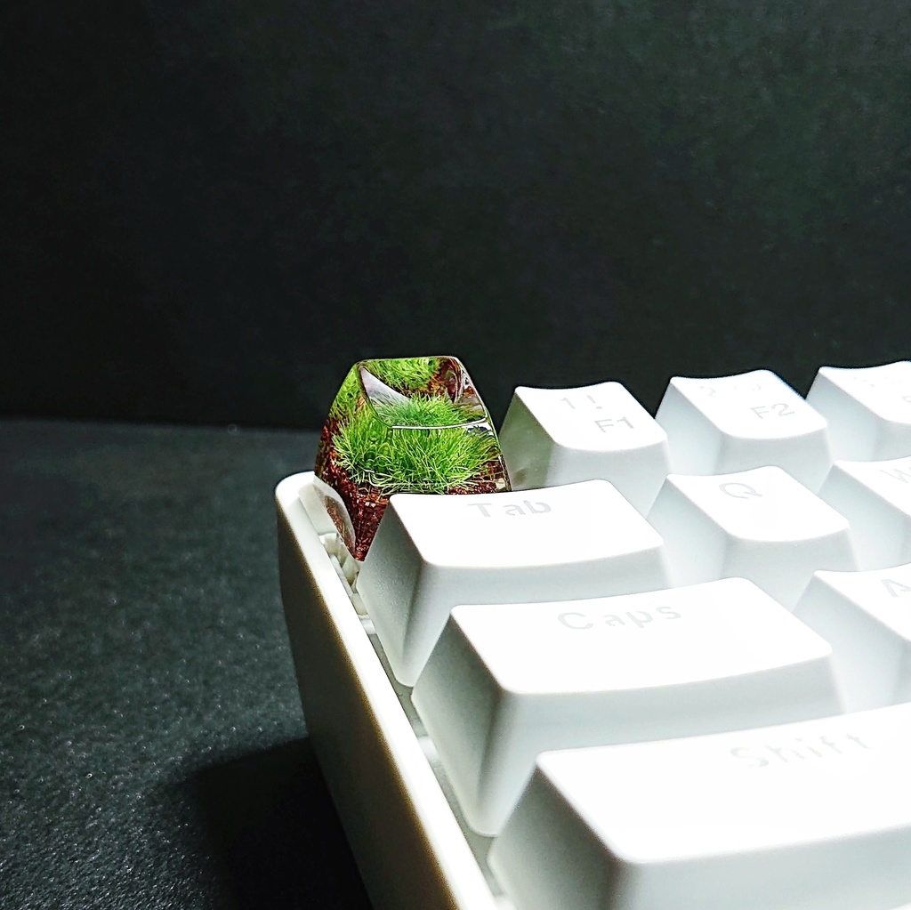 苔沼キーキャップ