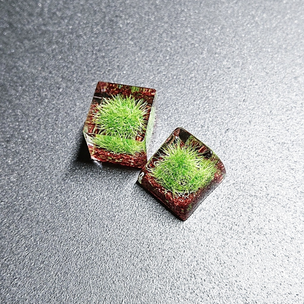 苔沼キーキャップ