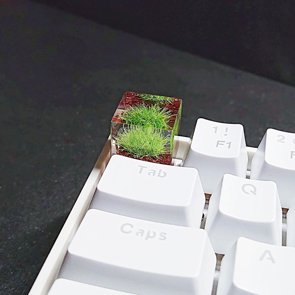 苔沼キーキャップ