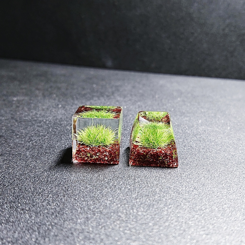 苔沼キーキャップ