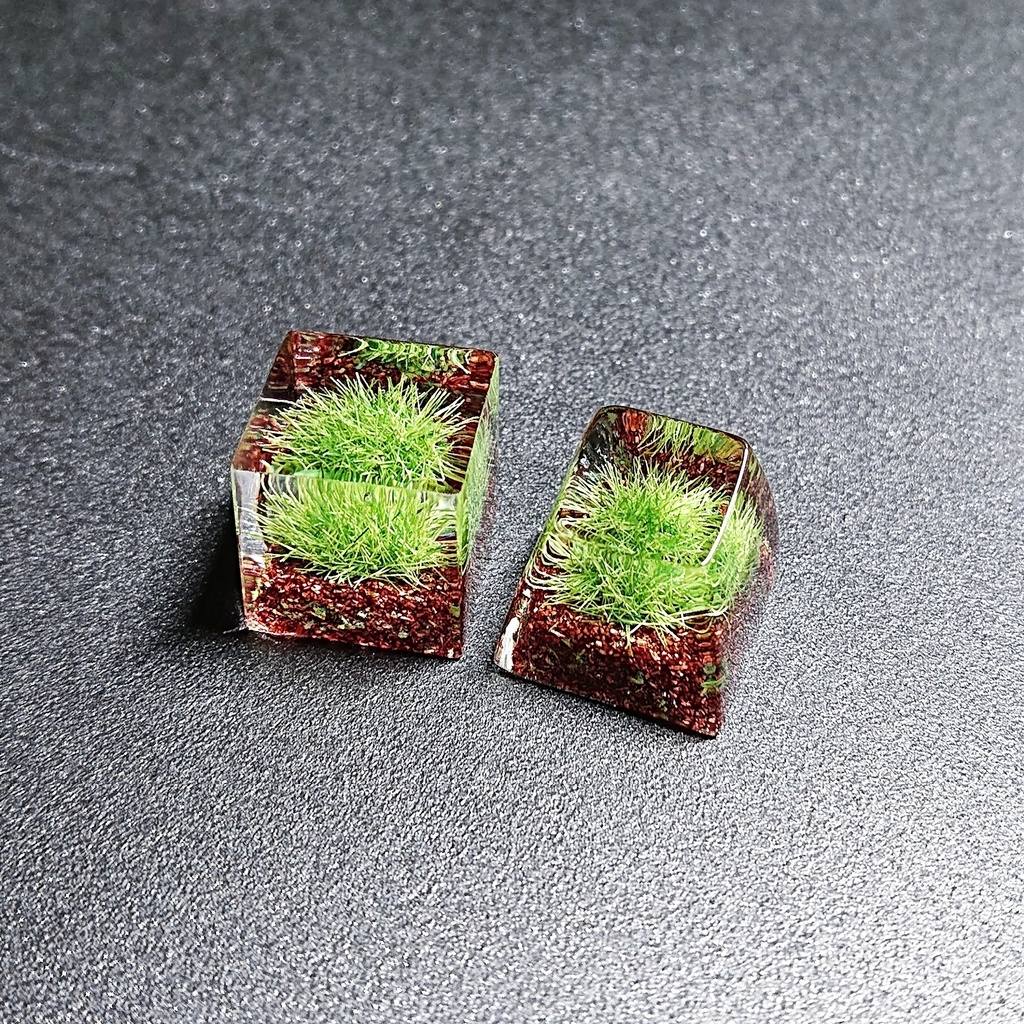 苔沼キーキャップ