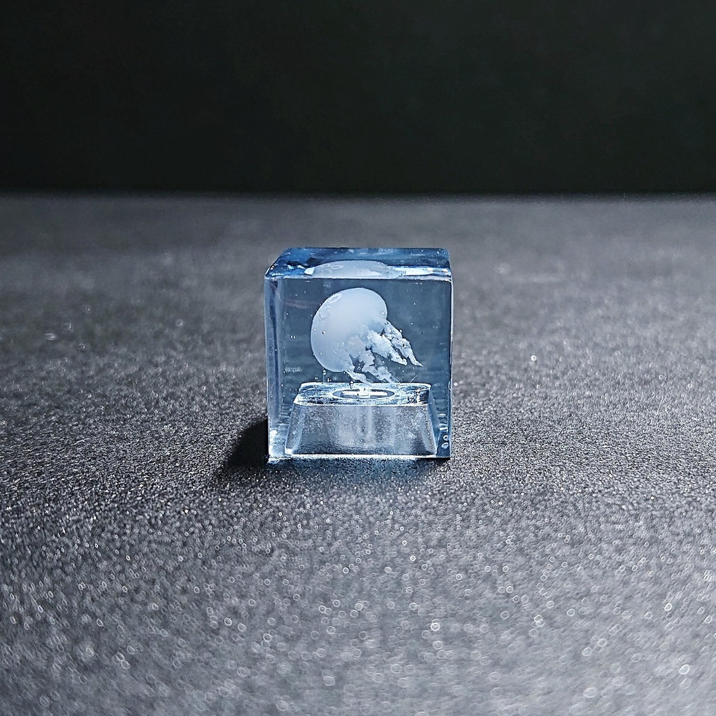 クラゲ水槽キーキャップ