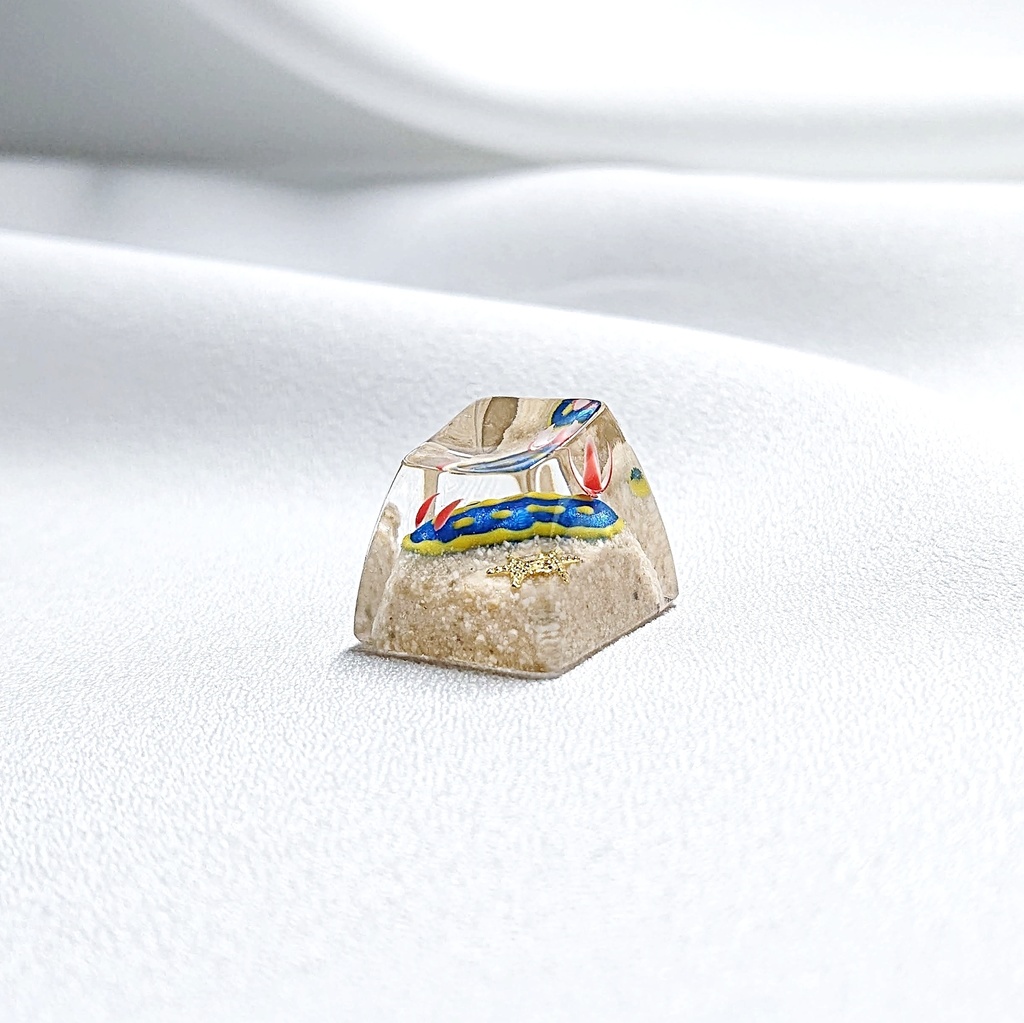 アオウミウシキーキャップ