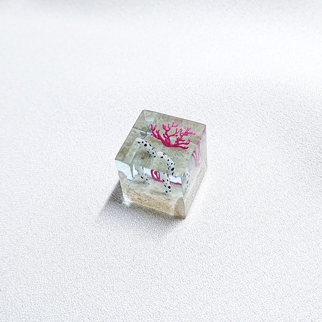 チンアナゴの水槽キーキャップ