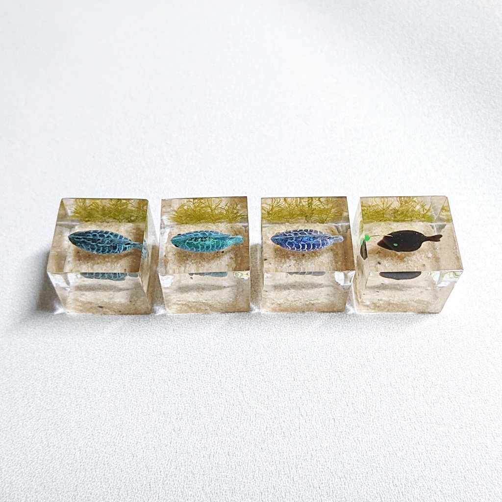 アロワナ水槽/チョウチンアンコウの水槽キーキャップ