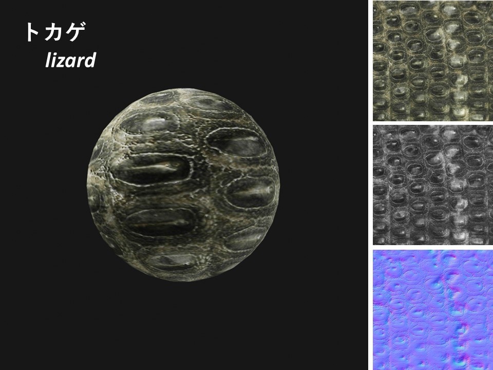 動物のテクスチャ(ワニ,ゾウ,トカゲ,ヘビ)