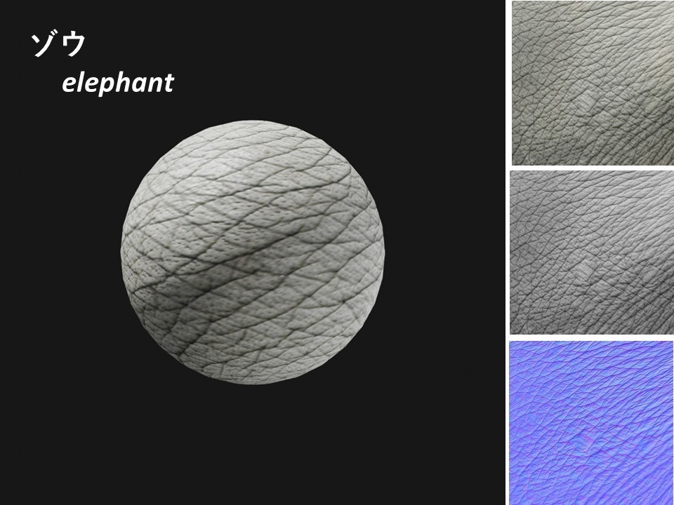 動物のテクスチャ(ワニ,ゾウ,トカゲ,ヘビ)