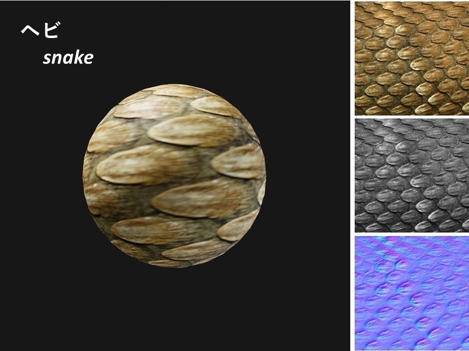 動物のテクスチャ(ワニ,ゾウ,トカゲ,ヘビ)