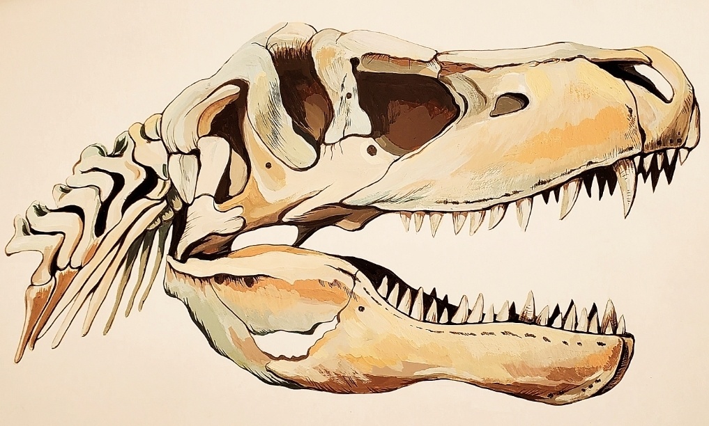 ICカードステッカー