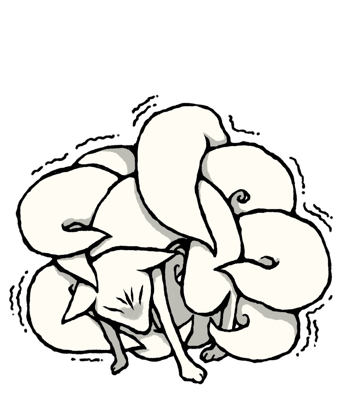 きゅーんな九尾:い