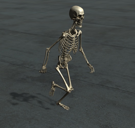 【MMD】【VRC】リアル骸骨モデル