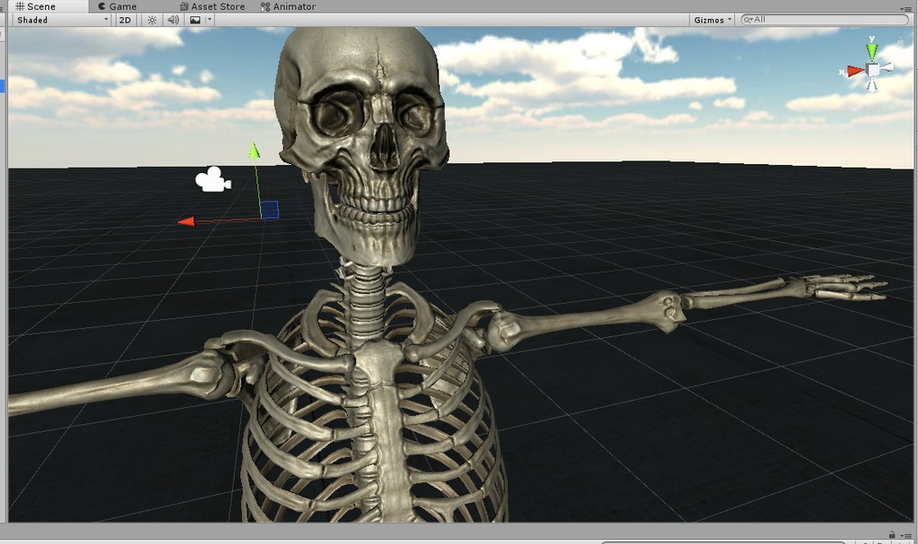 【MMD】【VRC】リアル骸骨モデル