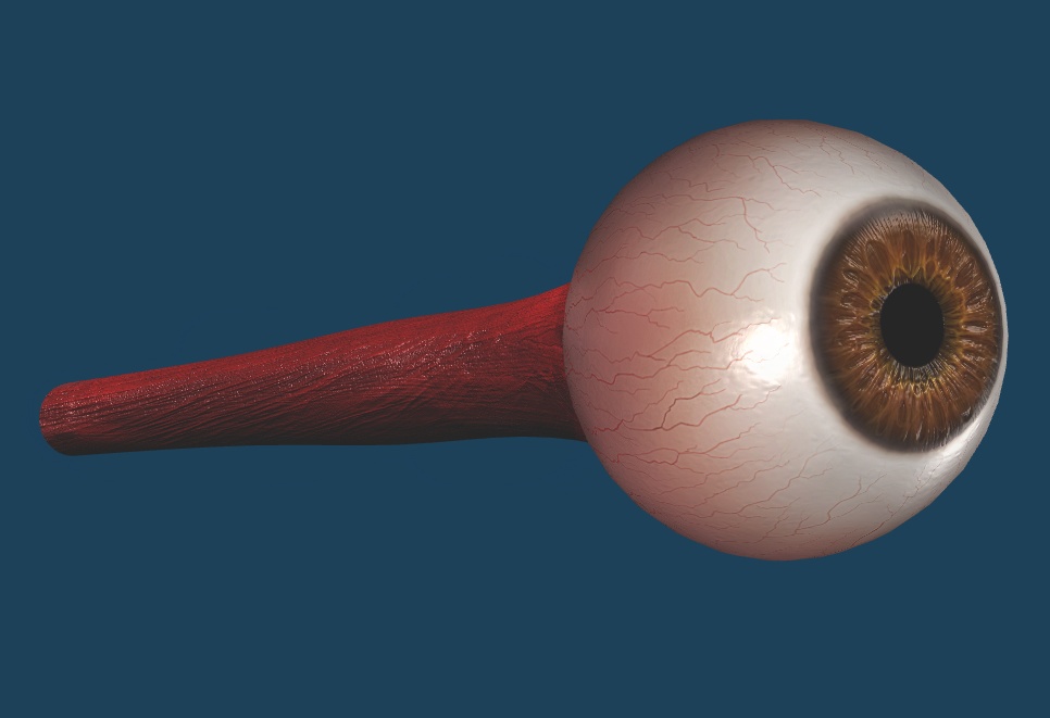 【3D素材】リアル目玉モデル