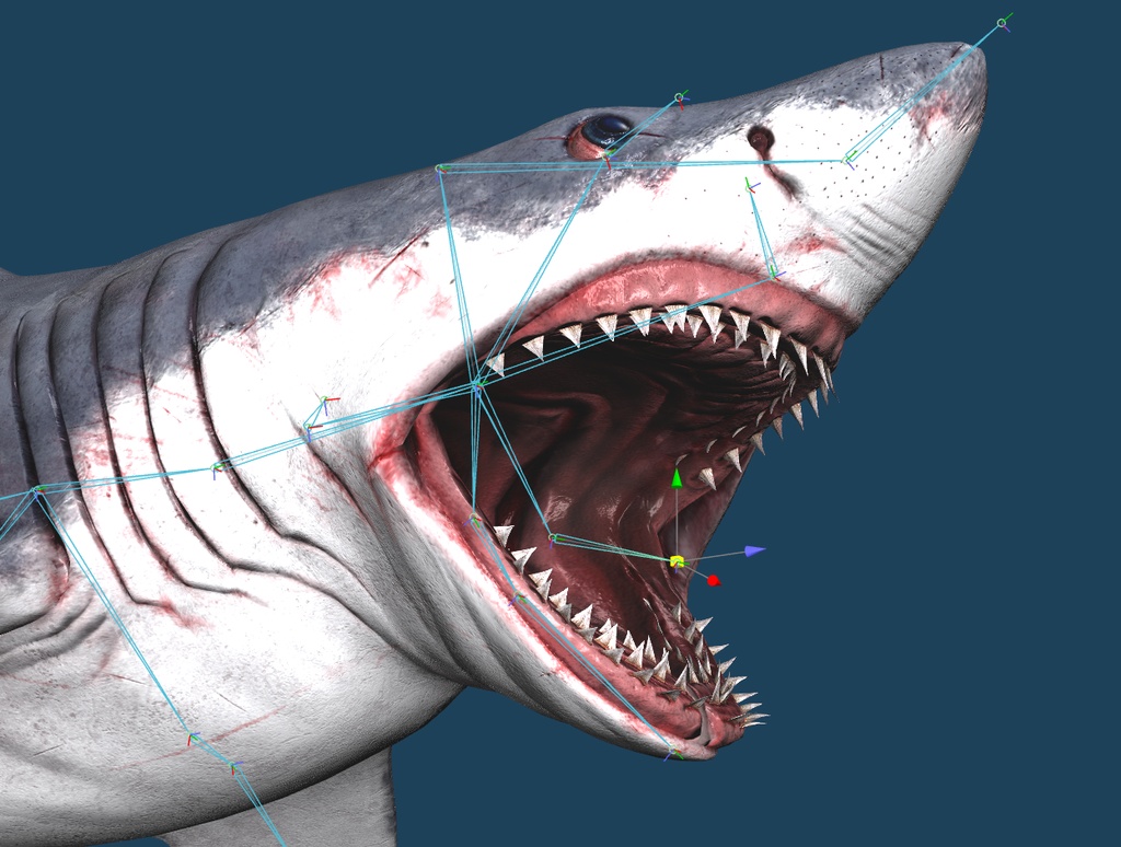 【MMD】【Unity】リアルサメモデル