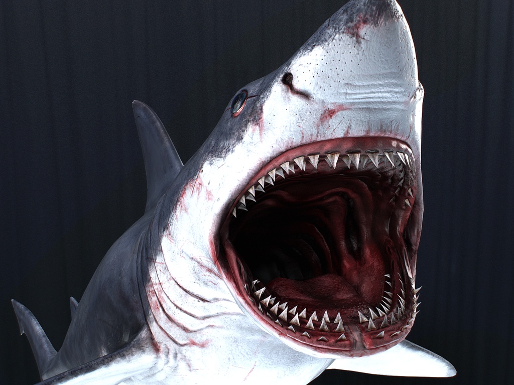 【MMD】【Unity】リアルサメモデル