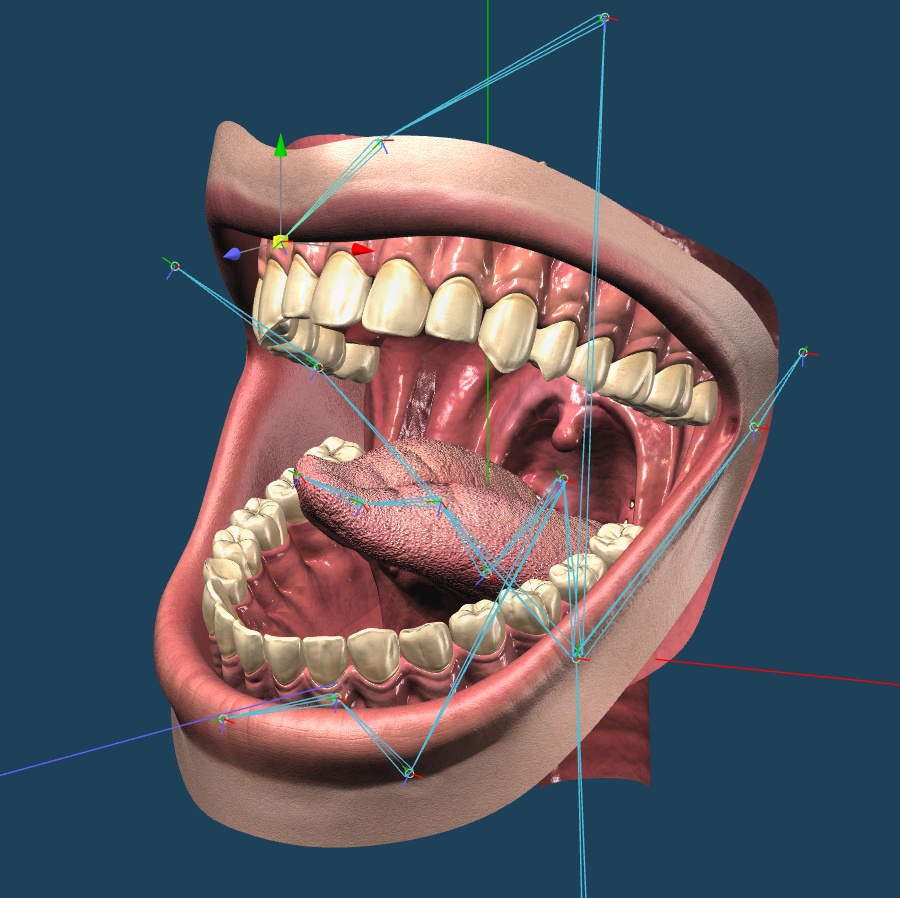 【3D素材】口の中モデル