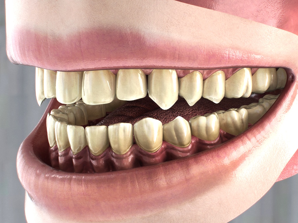 【3D素材】口の中モデル