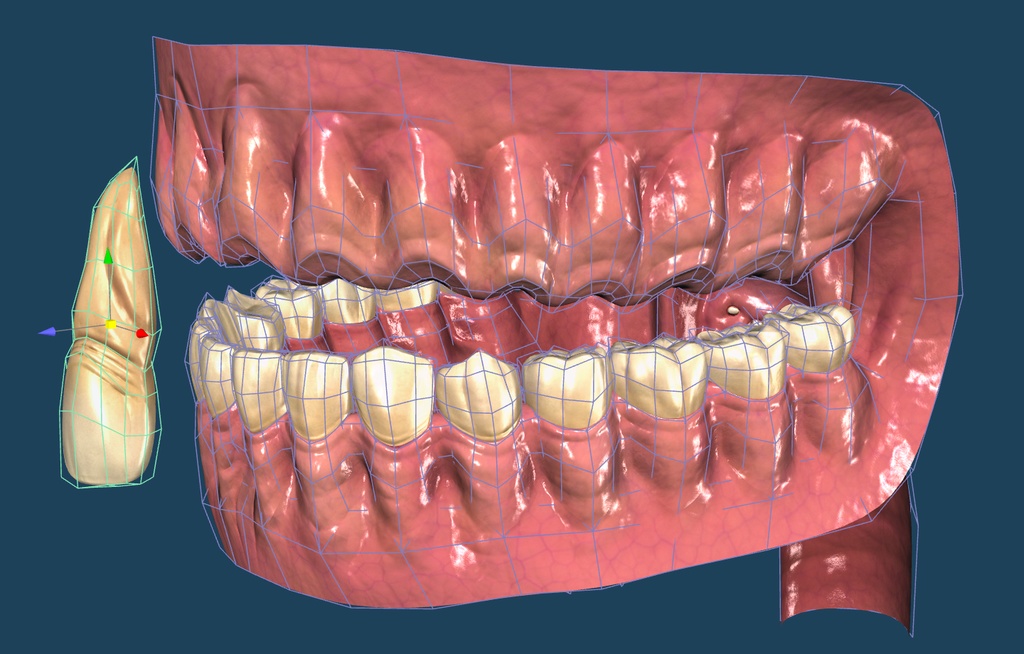 【3D素材】口の中モデル