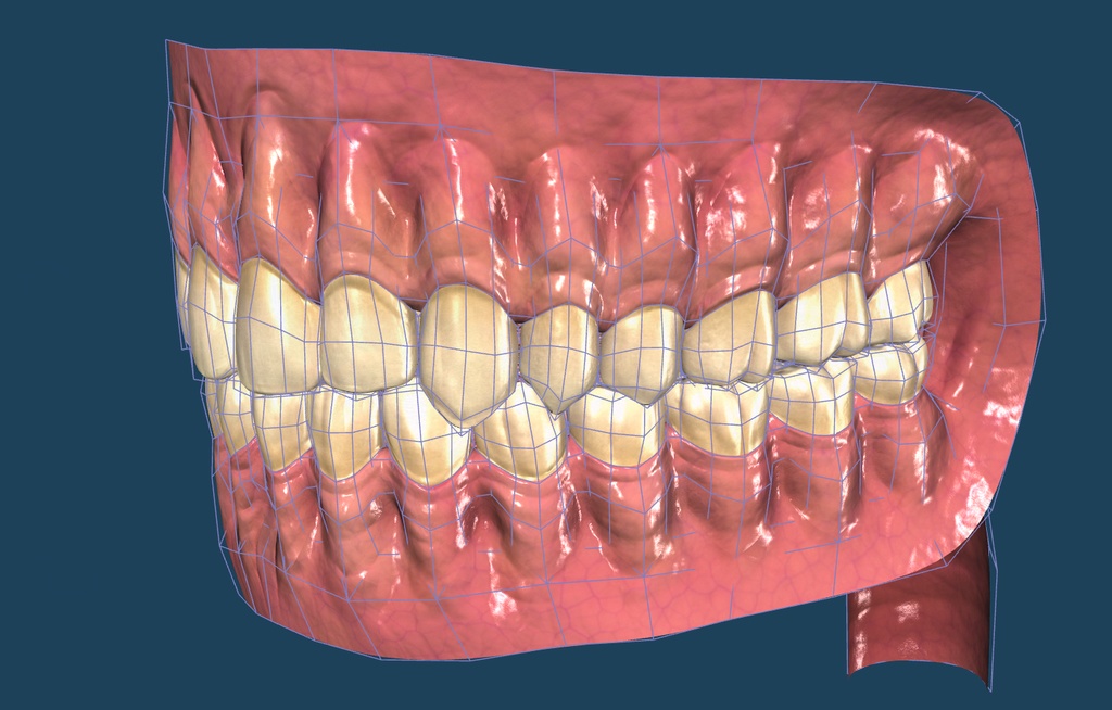 【3D素材】口の中モデル