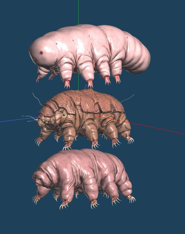 3d微生物 クマムシモデル ショップbyneet Booth