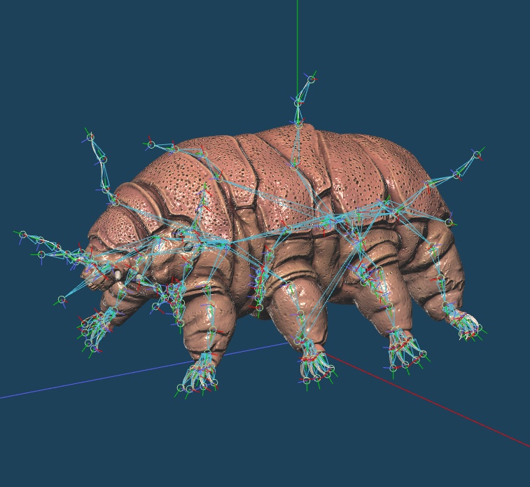 【3D微生物】クマムシモデル