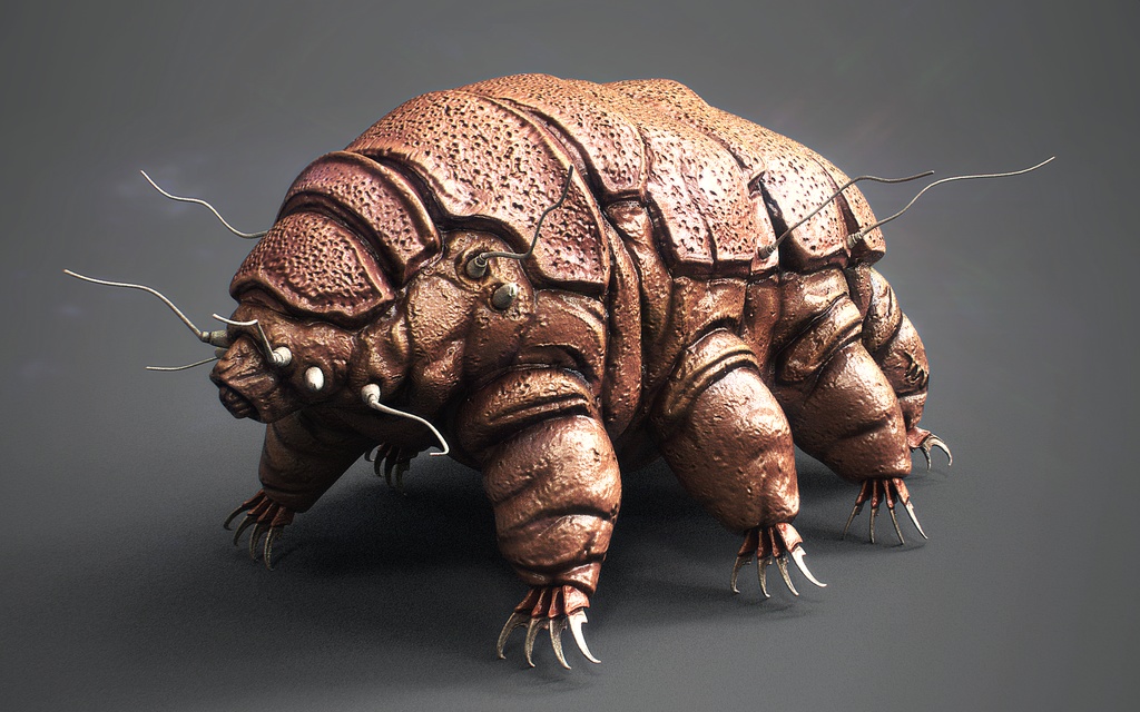 【3D微生物】クマムシモデル