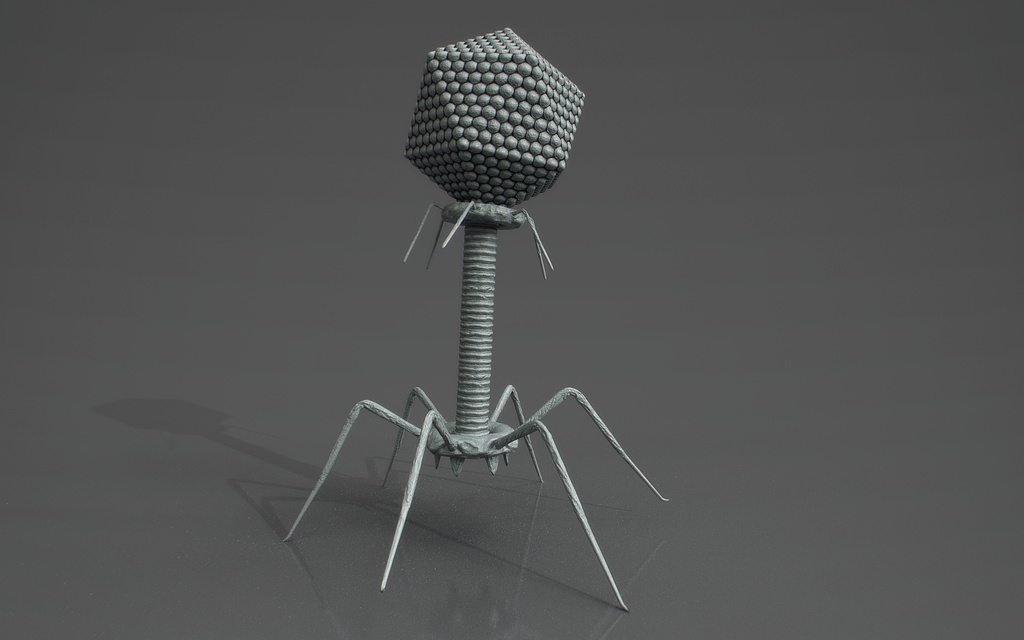 【3Dウイルス】バクテリオファージモデル【4タイプ】