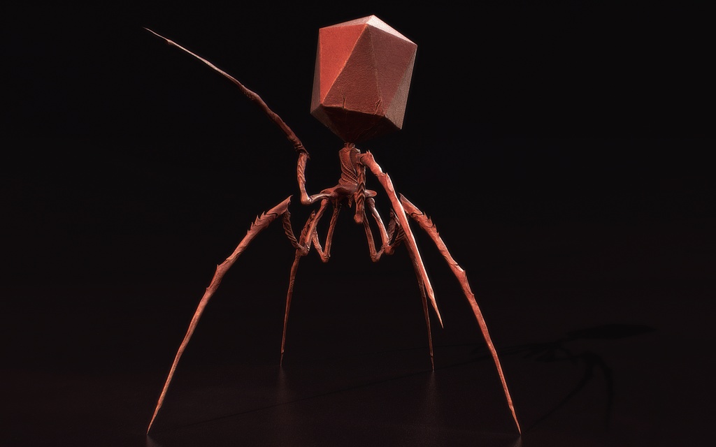 【3Dウイルス】バクテリオファージモデル【4タイプ】