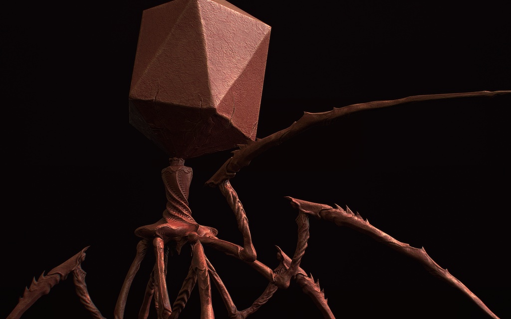 【3Dウイルス】バクテリオファージモデル【4タイプ】