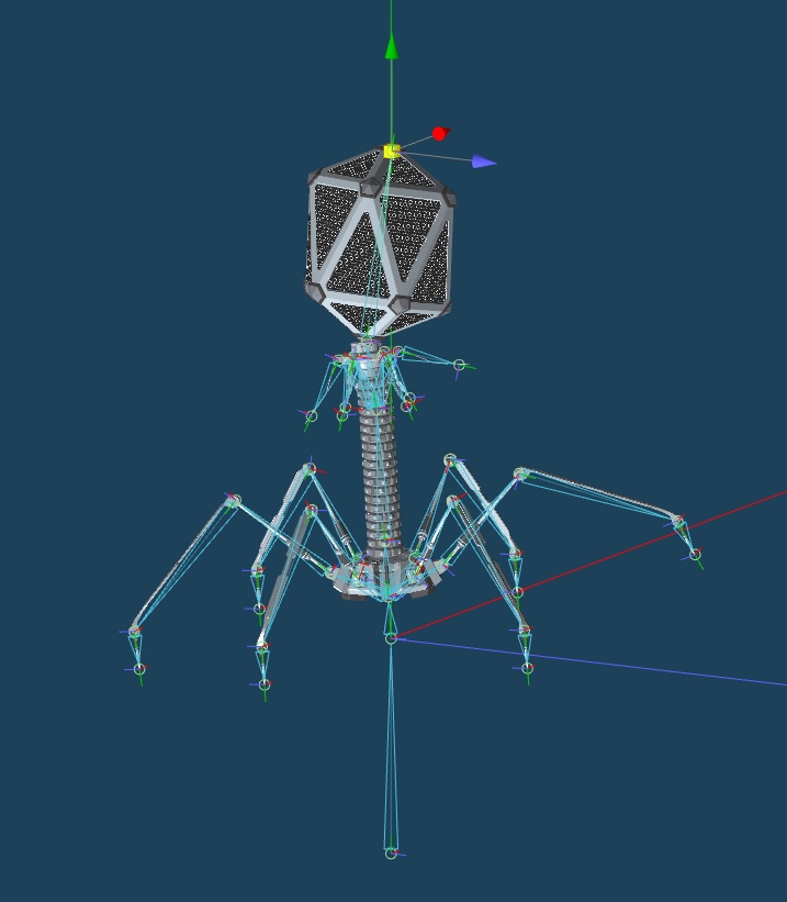 【3Dウイルス】バクテリオファージモデル【4タイプ】