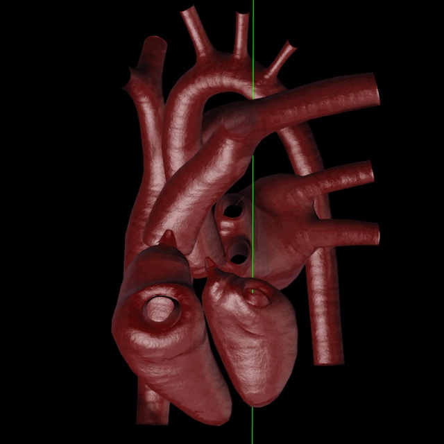 ３d素材 リアル心臓モデル ショップbyneet Booth