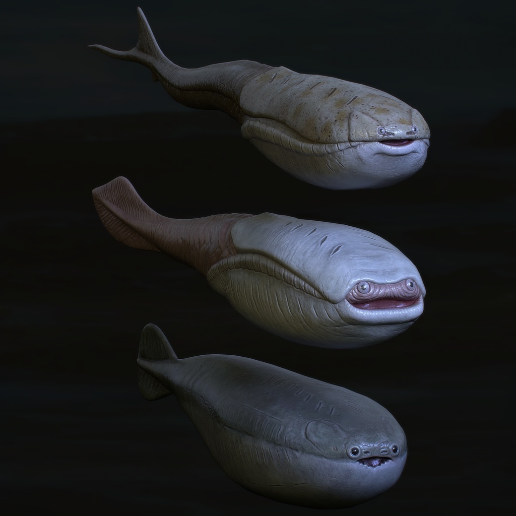 【Unity】リアルサカバンバスピス3種セット