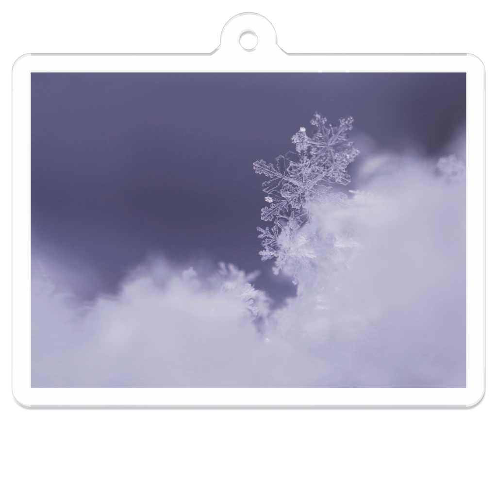 雪の結晶