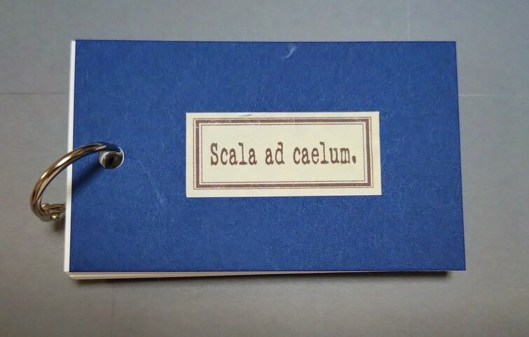 Scala ad caelum.
