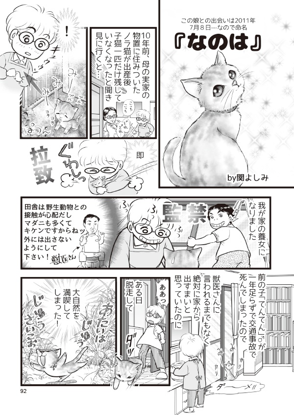 【スマートレター配送】あず25号(2021年12月)~テーマ「猫と動物」