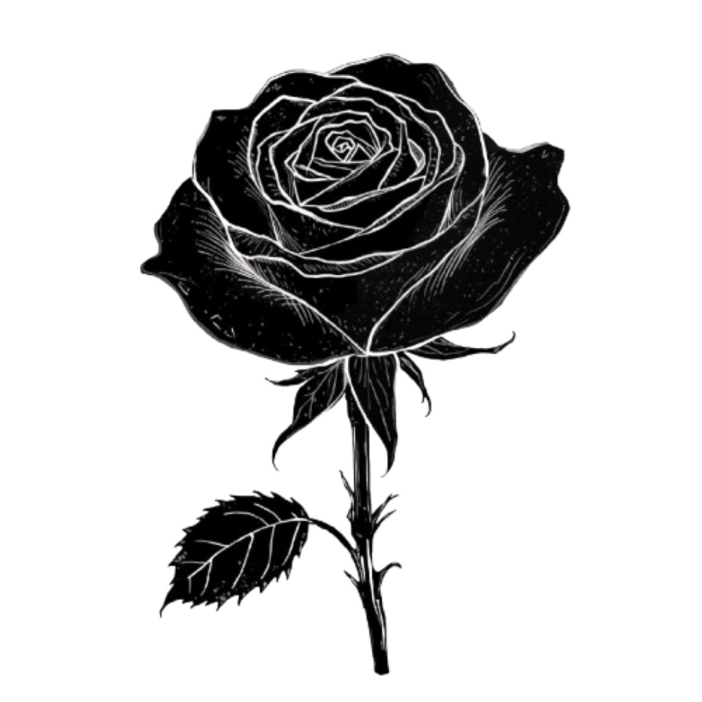 TRPG・同人誌に最適|ダークファンタジー素材17点(羽・剣・薔薇・時計)透過PNG/手書き風モノトーン 羽・時計・薔薇・剣etc 同人誌などに 17点セット