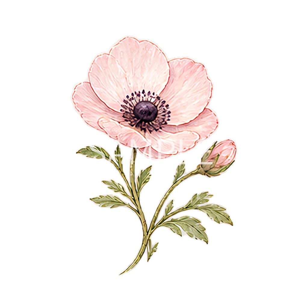 【春の幻想植物イラスト素材】27点セット|背景透過|PNG|クリップアート|アンティーク|花|蝶|妖精|Spring Fantasy Plants Clipart Set – 27 Vintage Botanical PNG Illustrations | Flowers, Butterflies & Fairy