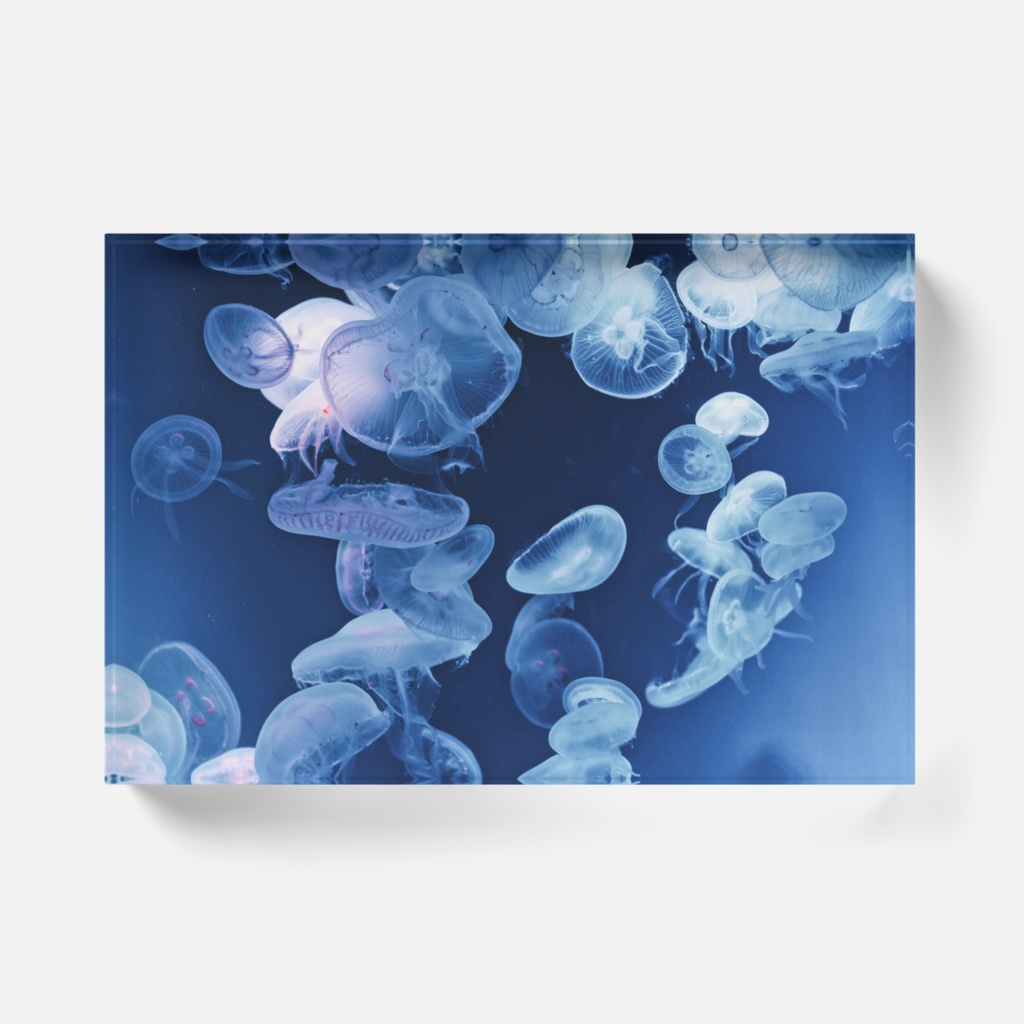 海月 A 透明アクリルブロック