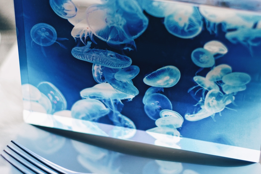 海月 A 透明アクリルブロック