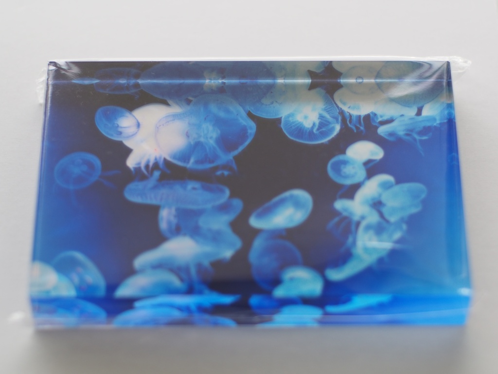 海月 A 透明アクリルブロック