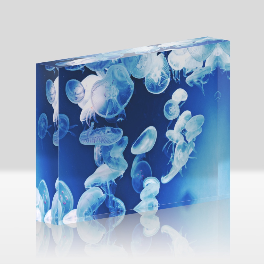 海月 A 透明アクリルブロック