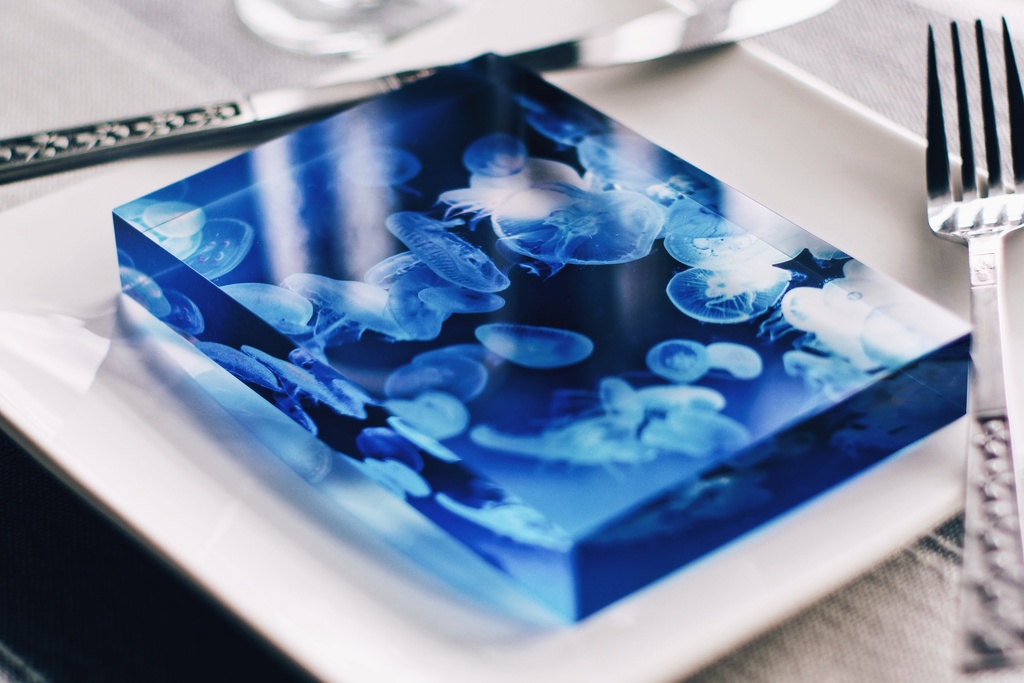 海月 A 透明アクリルブロック