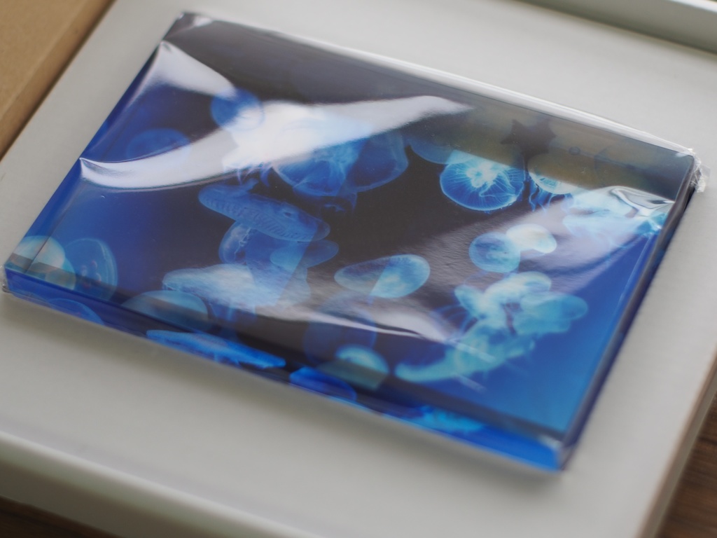 海月 A 透明アクリルブロック