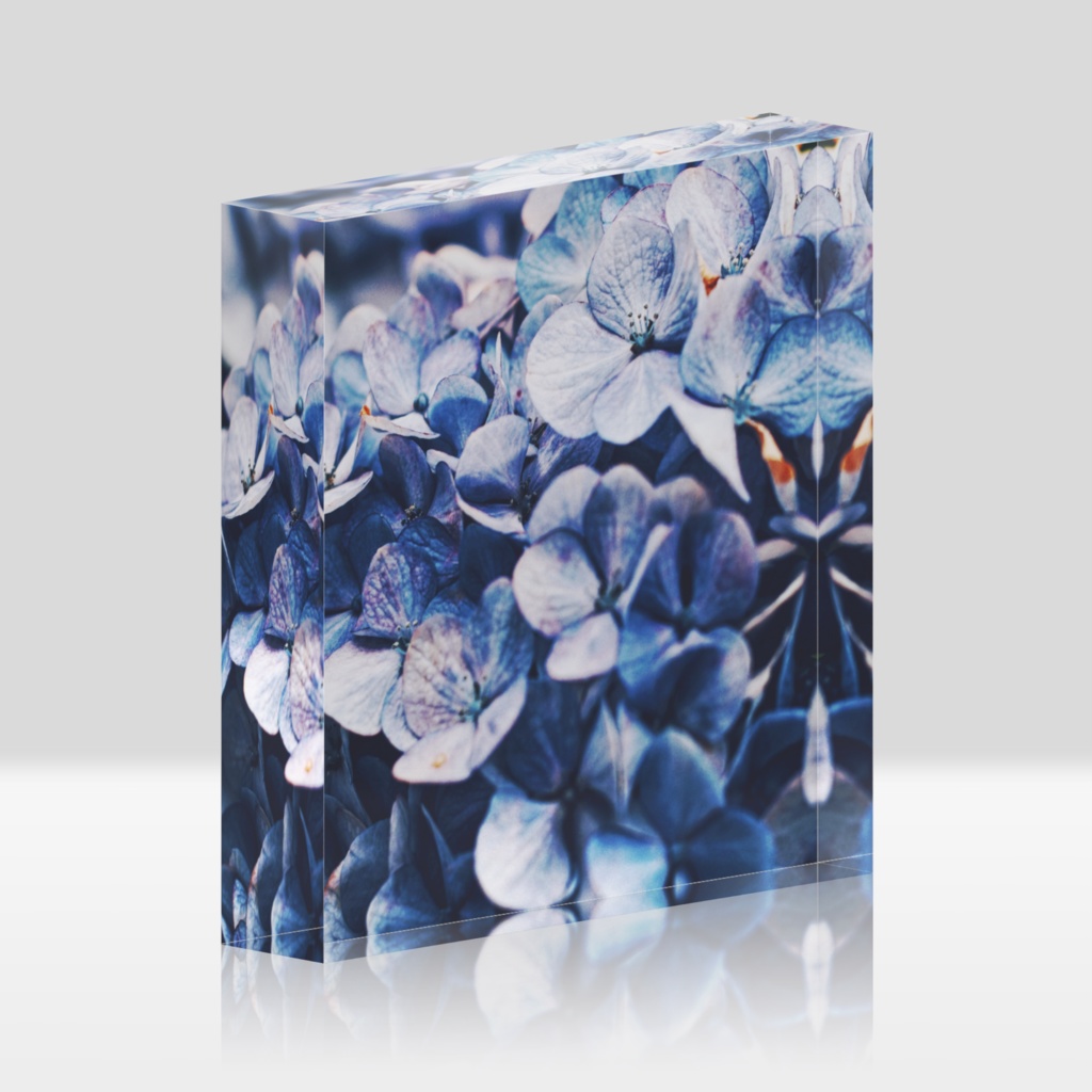 紫陽花 A  透明アクリルブロック