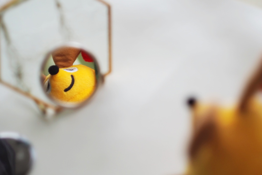 円形ミラー (片面鏡)