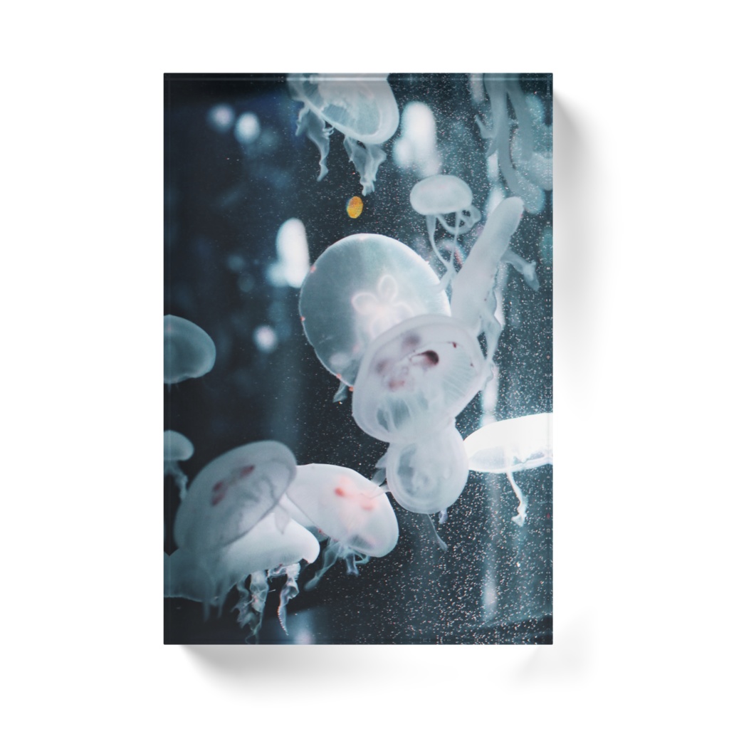 海月B 透明アクリルブロック